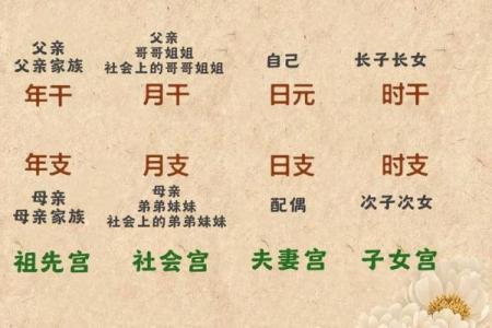 八字宫位详解信息