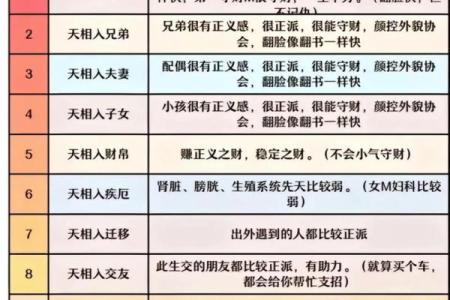 紫薇斗数代表什么