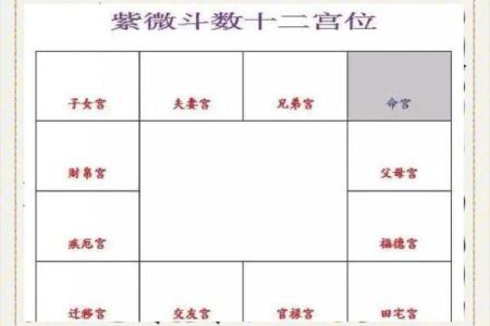 紫微斗数之夫妻宫与诸星,太阳星在夫妻宫是什么意思？