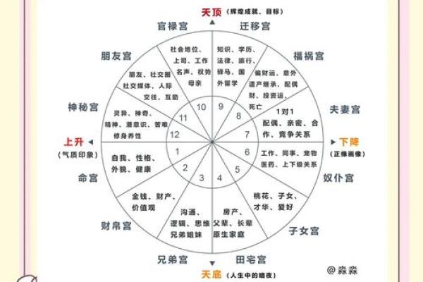 免费查紫薇星盘