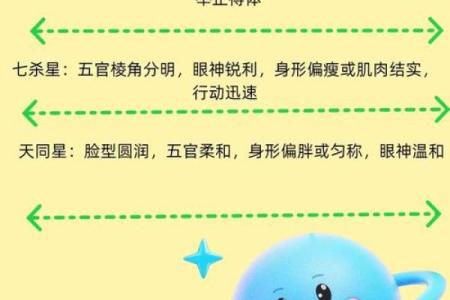 紫微斗数紫薇独坐