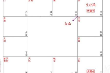 紫薇斗数壬干格局
