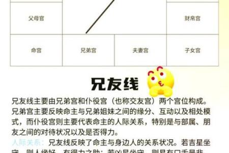 东京紫薇斗数入门