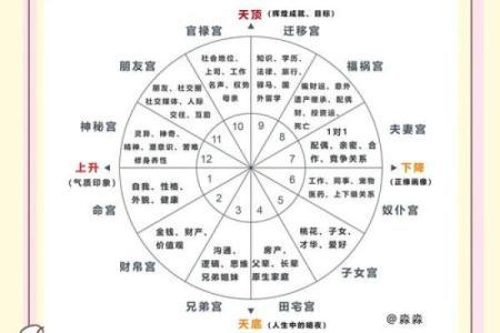 免费查紫薇星盘