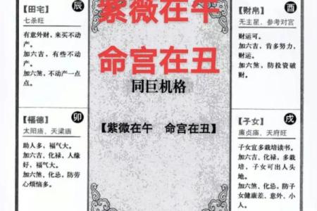 紫薇斗数会变