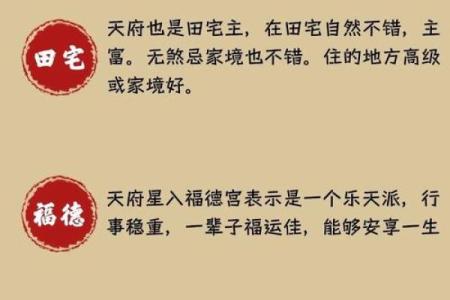 紫薇斗数看创业时机