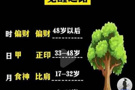八字中的坐