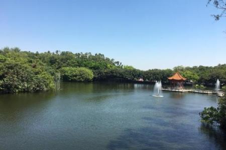 广州莲花山附近算命先生