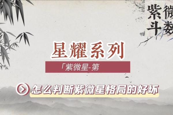 怎么判断自己是不是紫薇星