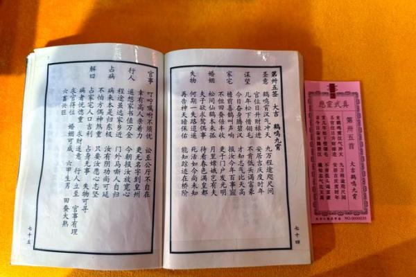 真武灵签用法教程全解