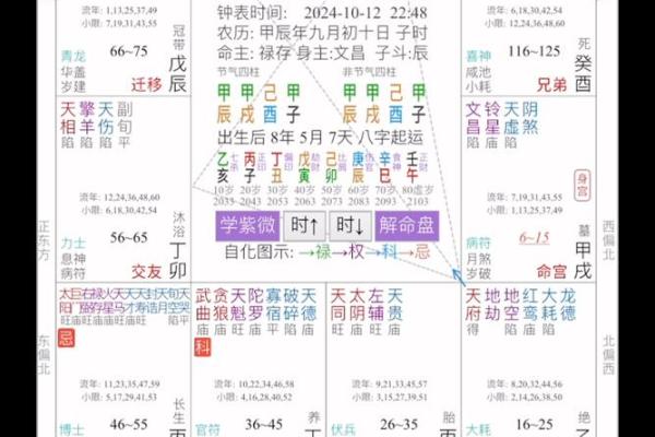 黄石紫微斗数 紫微斗数官网？