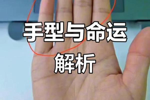 手型算命：土型手人的性格与命运