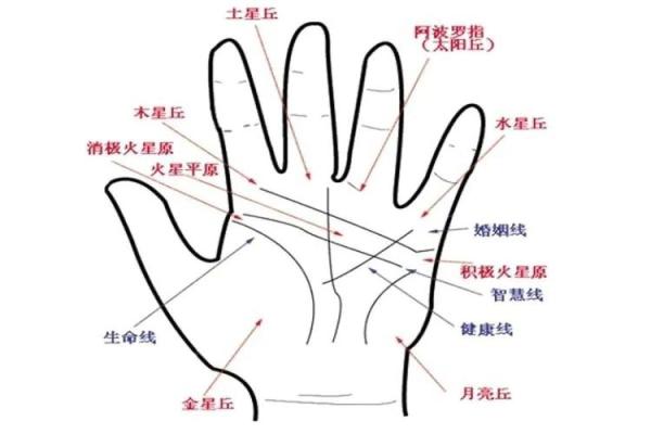 风水川字掌手相男人的命运解析