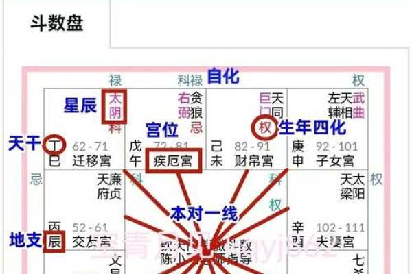 紫薇斗数阳历盘