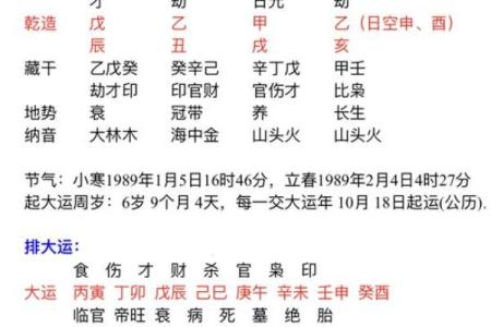 以残生生肖为中心，了解八字排盘的秘密