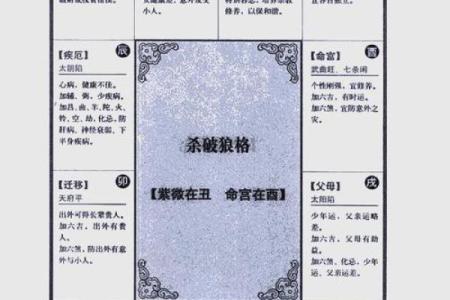 紫薇斗数解析排盘