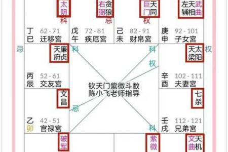 紫微斗数紫薇星排盘