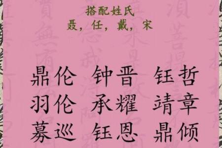五行缺水八字喜火起名