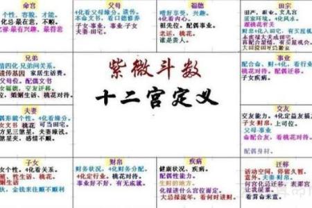 紫薇斗数看流年考学
