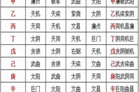 紫薇斗数加会
