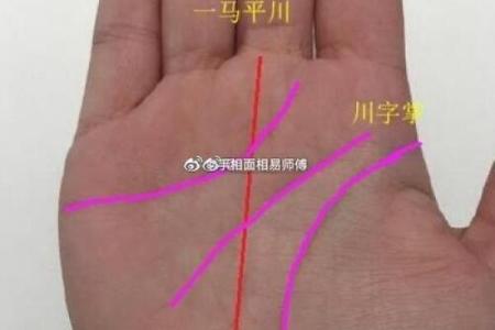 风水川字掌手相男人的命运解析