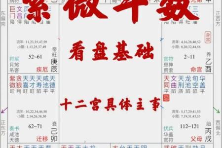 紫薇斗数阳历盘