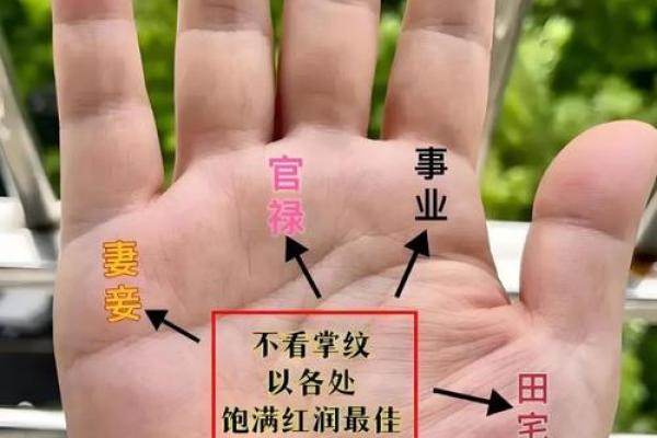 风水手相怎么看生命线断开是什么意思