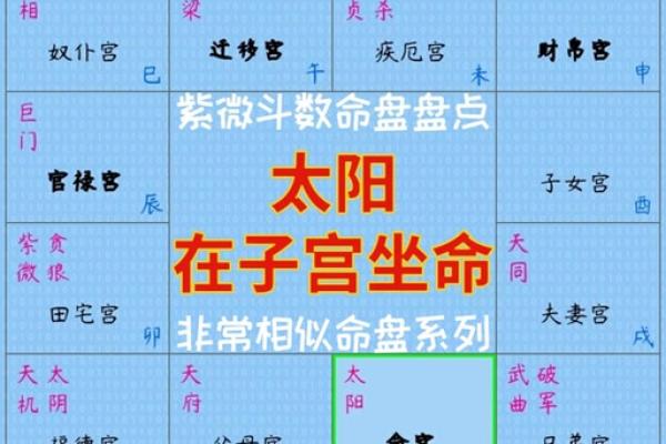 紫薇斗数疾厄戊申