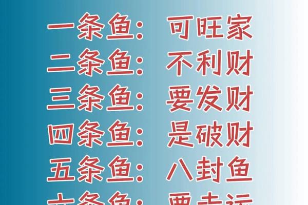 养金鱼有哪些风水讲究-