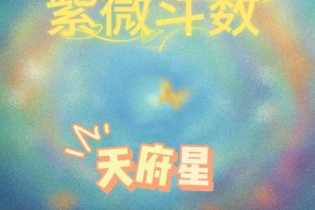 紫薇斗数流星