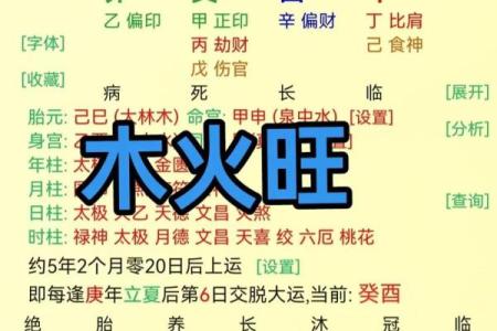 八字火旺喜用神是木火
