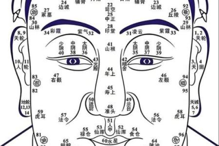 看脸上胎记算命知命运