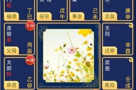 紫薇斗数入内局