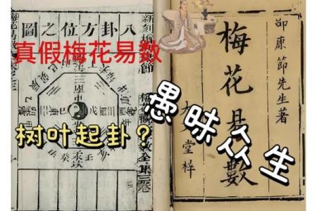 紫薇斗数梅花六易