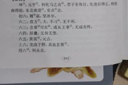紫微斗数之八卦万物类象：坤卦详解