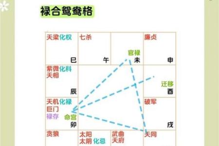 紫薇斗数南北派之分