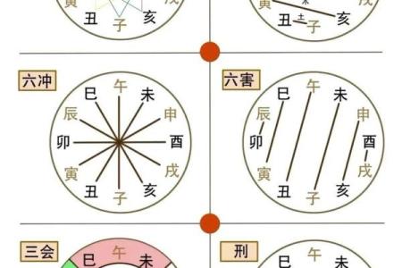 八字十二地支详解