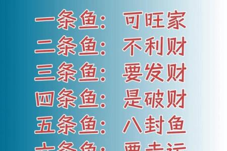 养金鱼有哪些风水讲究-