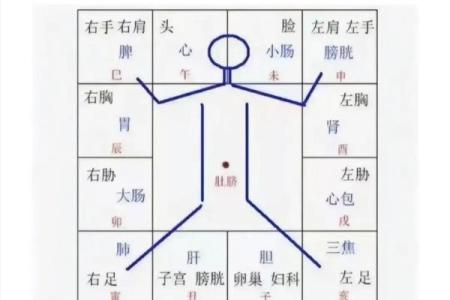 跟着AI学紫薇斗数，十二宫介绍