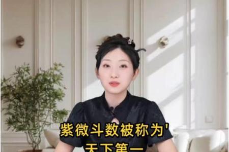 出名的紫薇斗数老师