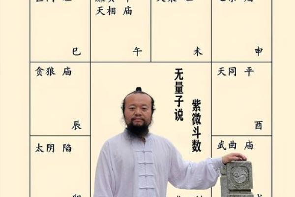 紫薇斗数如何看学历