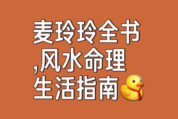 麦玲玲谈紫薇斗数