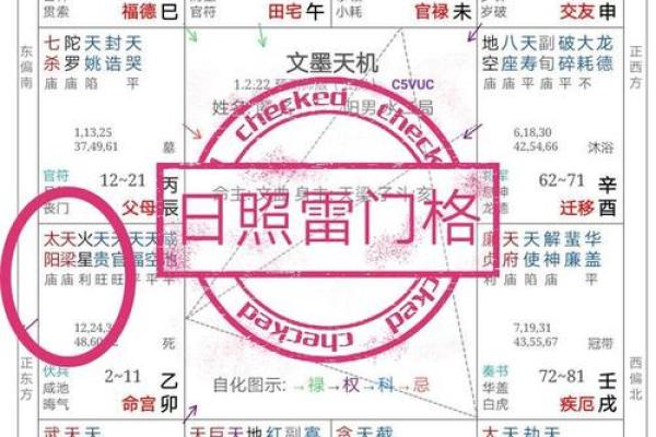 东有小山紫薇斗数7