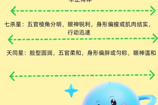 abc科技紫薇斗数