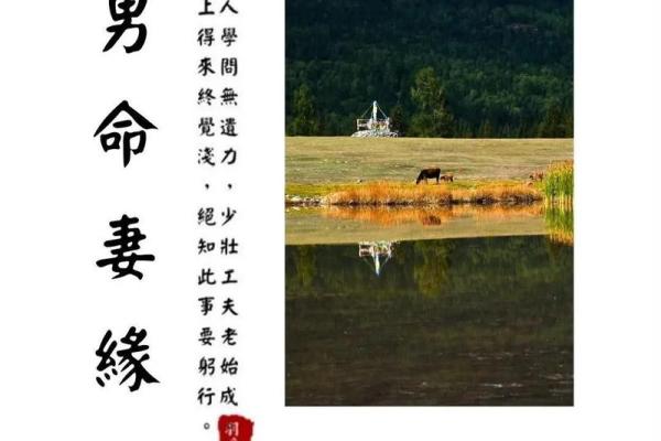 算命算配偶