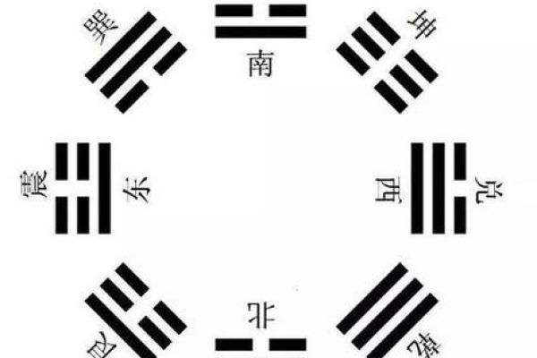 子午卯酉八字