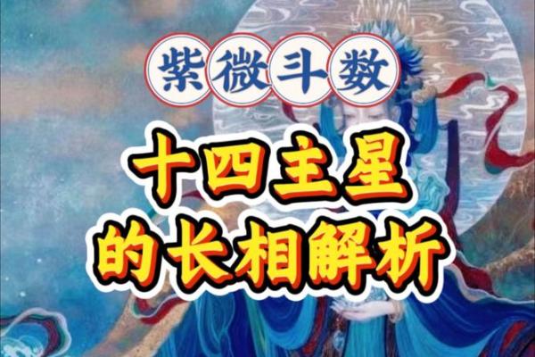 紫薇斗数太阳长相