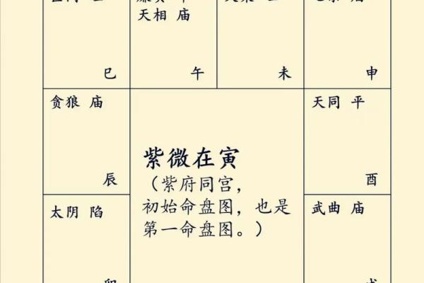 紫薇斗数各个星星