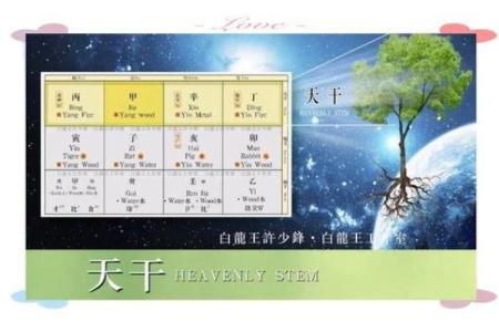 八字特别日子