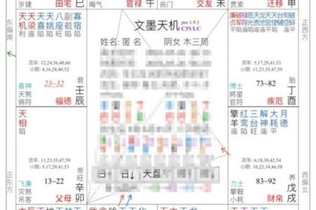 紫薇斗数综合详解
